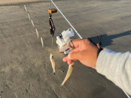 だいぶ冷え込んできましたがキスは元気でした