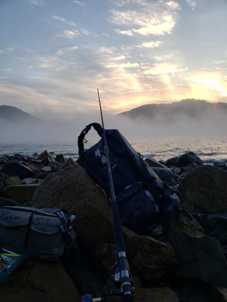 久しぶりの鰤属でした