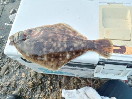 小さくてもマルチ