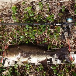 ピーカン昼間はパンチング