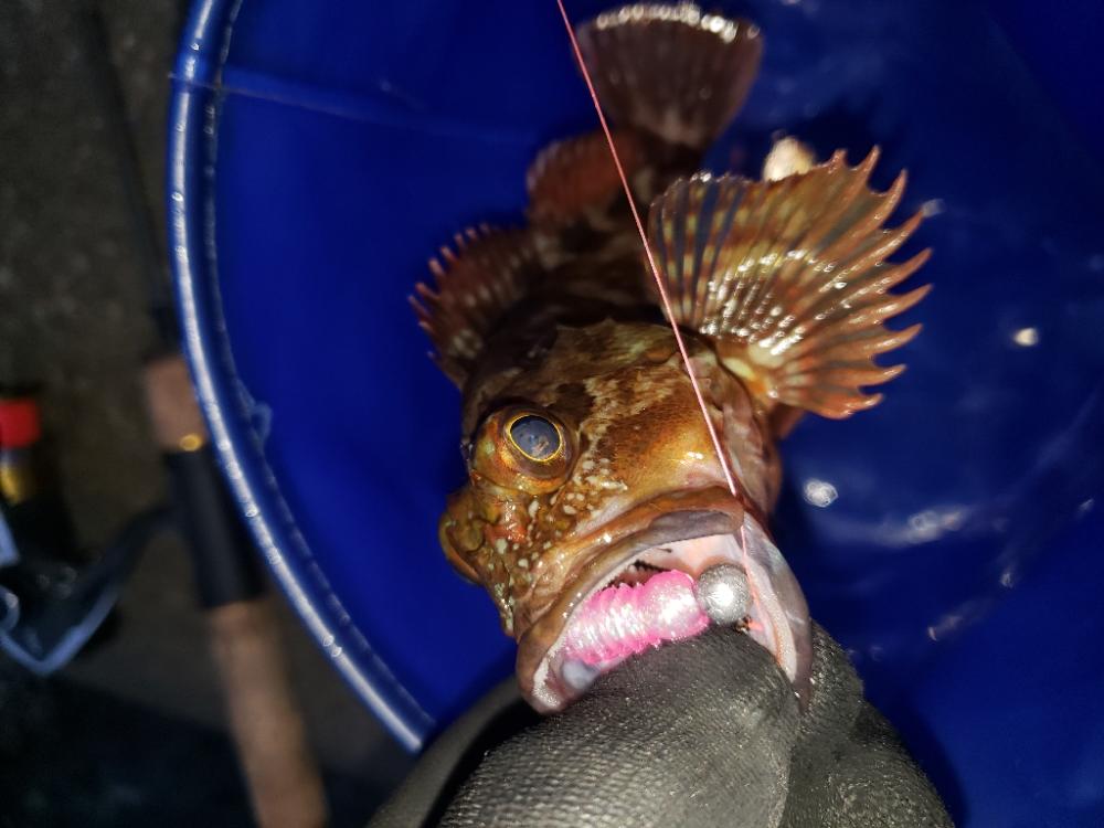 穴釣り