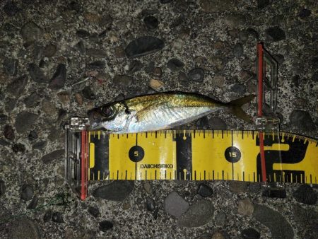 ジャングルジムイベント