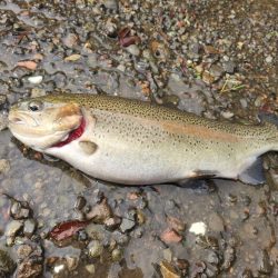 木郷滝自然つりセンター