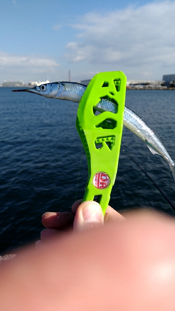 風が強いが好調