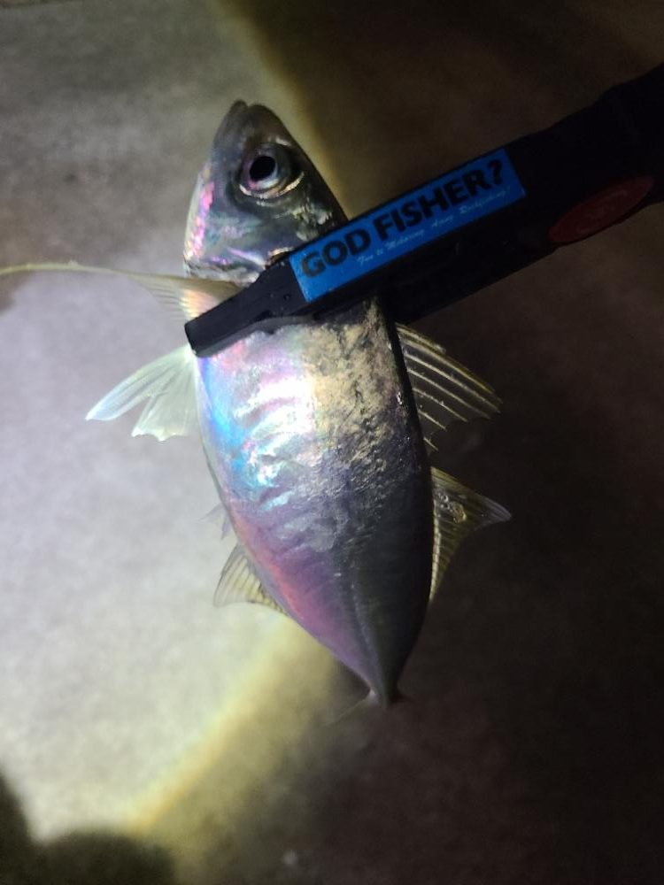 イベント更新に向けて。