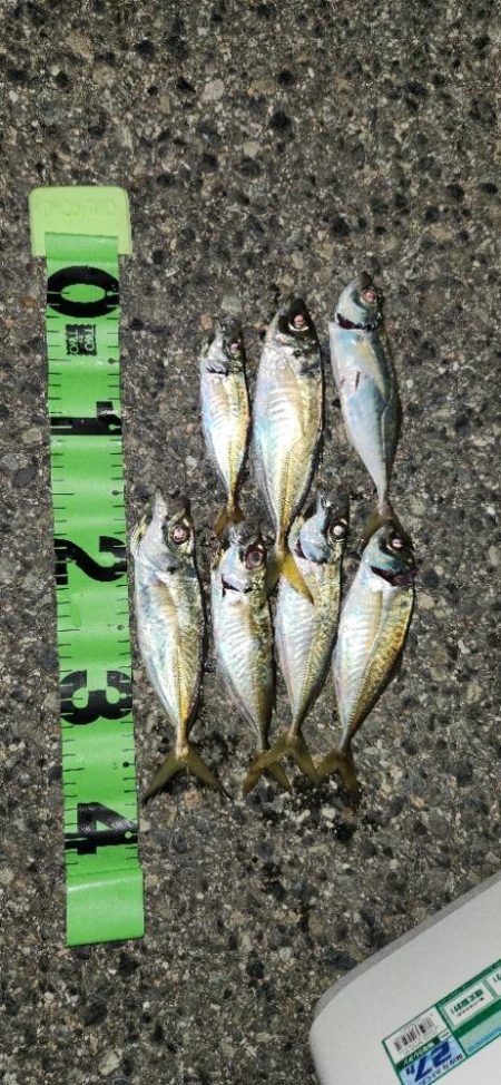 アジを探すのもアジングの一つ