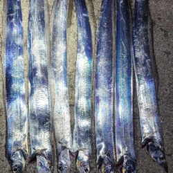 安定のマリーナシティ〜