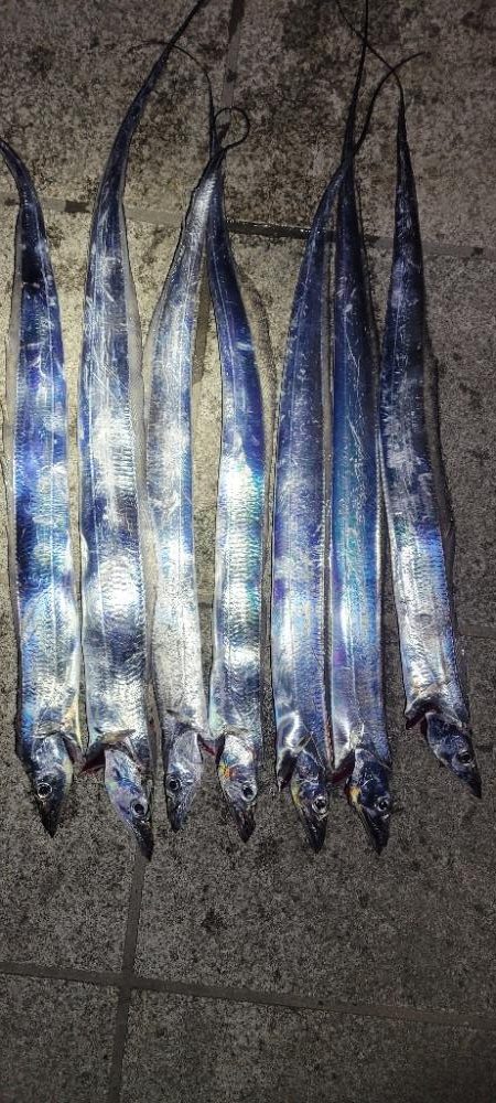 安定のマリーナシティ〜