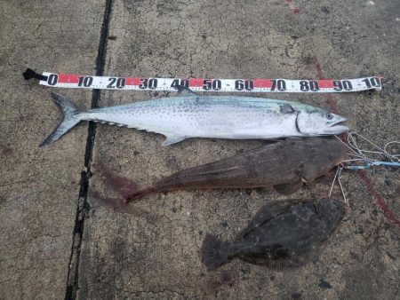 周りに誰もいない中