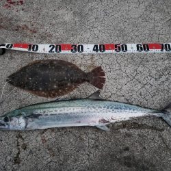 朝２時からの、、、