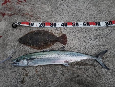 朝２時からの、、、