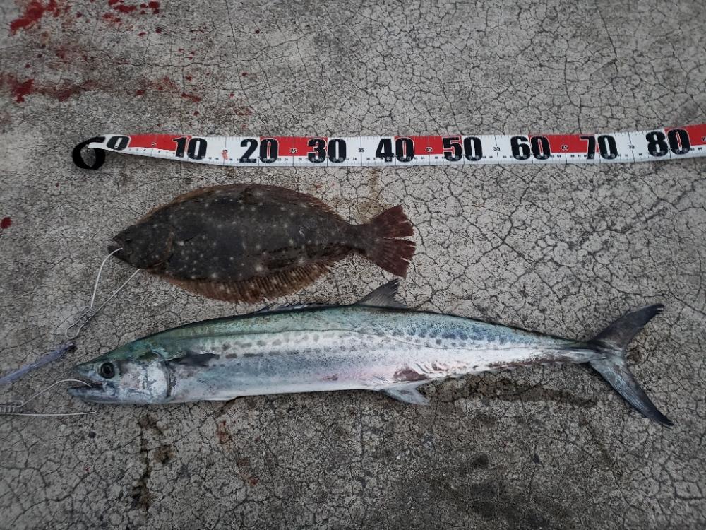 朝２時からの、、、