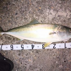 ショアジギング