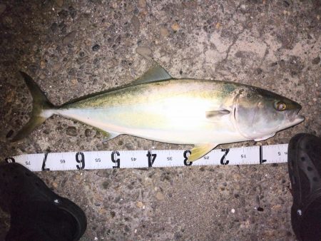 ショアジギング