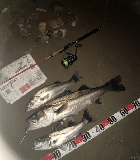 落ち鮎ラストパターンやな