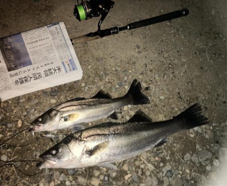 ががっときました。