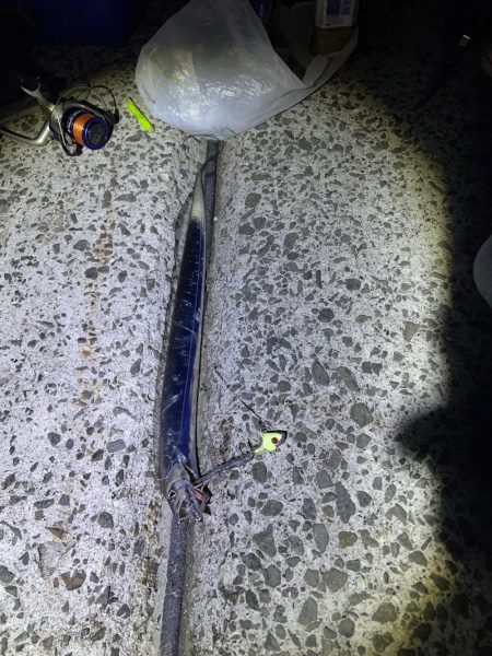 周りは釣れてるけども