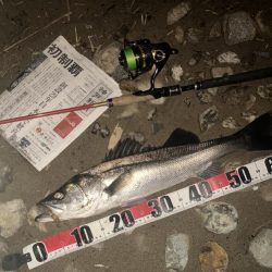 ががっときました。