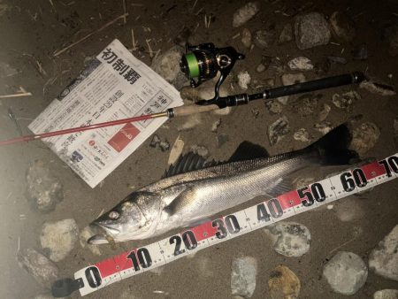 ががっときました。