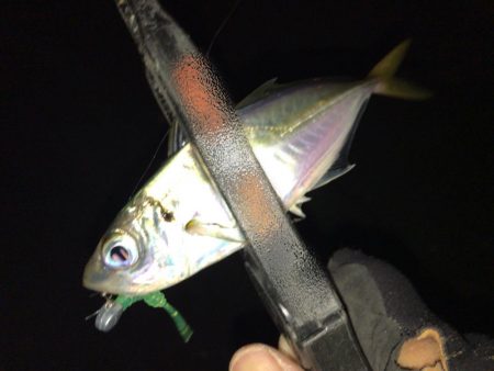 爆風のもとでの短時間釣行