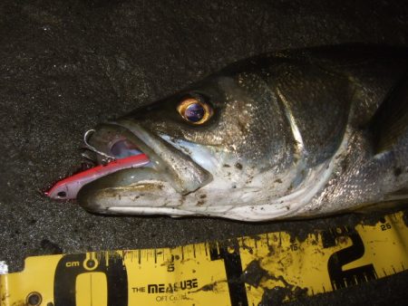 このまま終わってしまいそうな渋さ