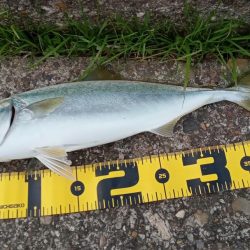 東二見の飲ませ釣り