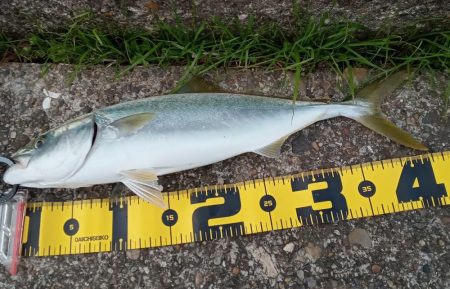 東二見の飲ませ釣り