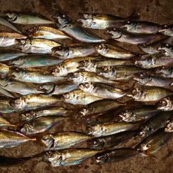 普段と変わらない時間