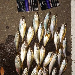 今日はあまりにも酷かったな