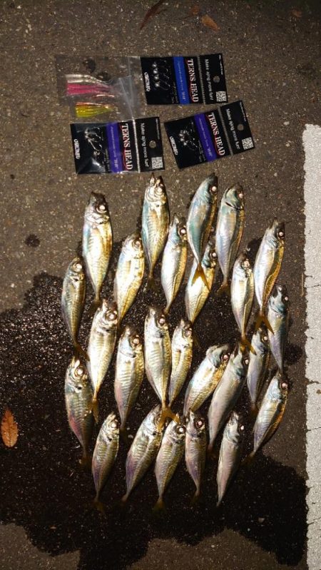 今日はあまりにも酷かったな