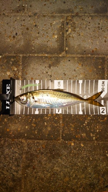 おぉ～渋いんかぁー