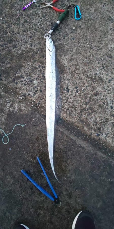 アジ全く釣れず。