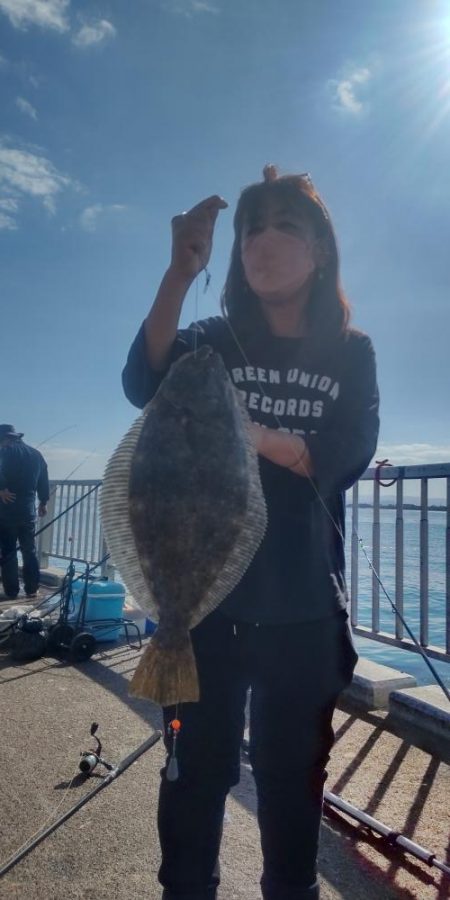 良型ヒラメゲット！