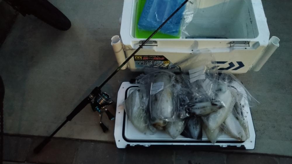 ティップラン初挑戦でアオリ