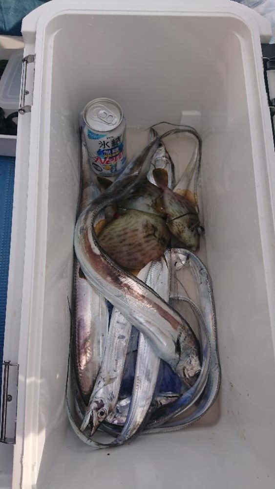 友が島廻りにて