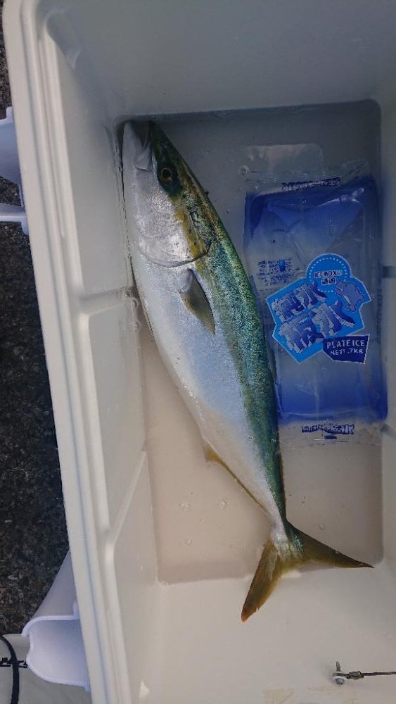 2023第2回播磨詣