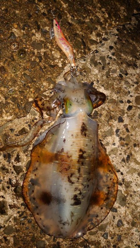 結果オーライ。