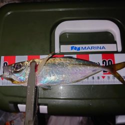 フロートアジング練習🎣