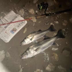 ががっときました。