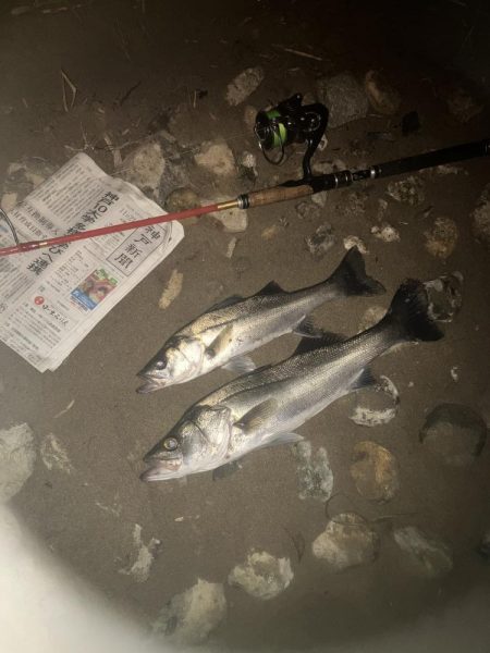 ががっときました。