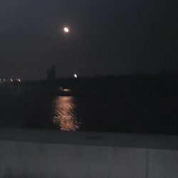 エギングからチャリコ