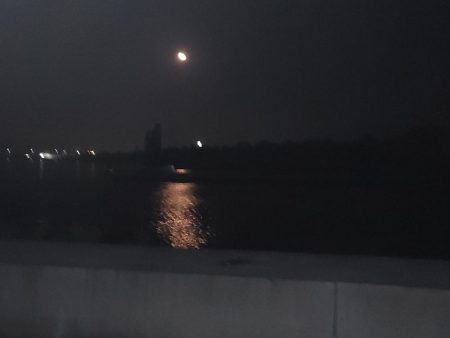 エギングからチャリコ