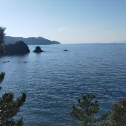 そろそろ終盤かな…？