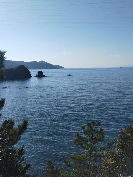 そろそろ終盤かな…？