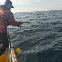 やっちゃったぁ〜…