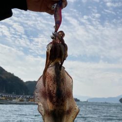 日本海 ラストエギング?