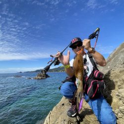 エギング大会&キャンプイベントCHILLAXCAMPでアオリイカ