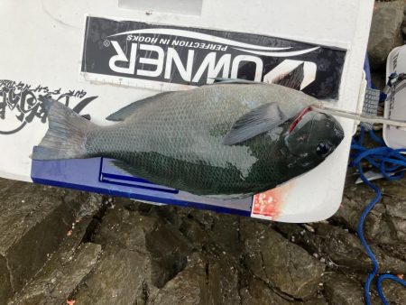 たかたかの釣り日記