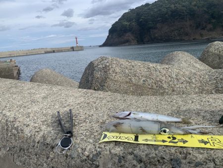 アジフライ不発