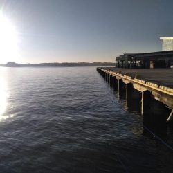 塩釜港　餌釣り　ハゼ　真鯛の子供